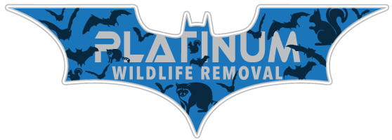 Wildlife Control Whitley County
